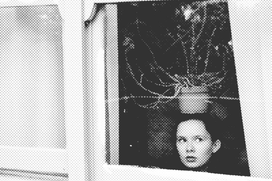 Zusatzoptionen, Eine junge Frau mit einer Zimmerpflanze auf dem Kopf schaut aus dem Fenster.