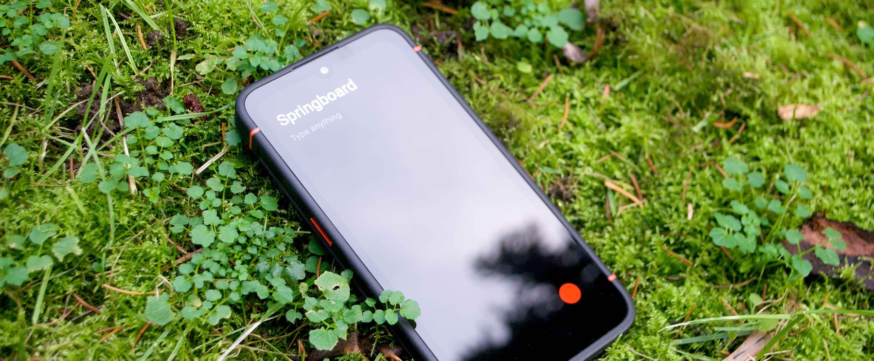 Ein Smartphone mit „Springboard“ auf dem Bildschirm liegt auf moosigem Boden, umgeben von kleinen grünen Pflanzen.