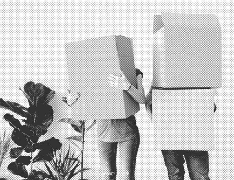 Zwei Personen mit Pappkartons vor dem Kopf stehen neben Zimmerpflanzen.