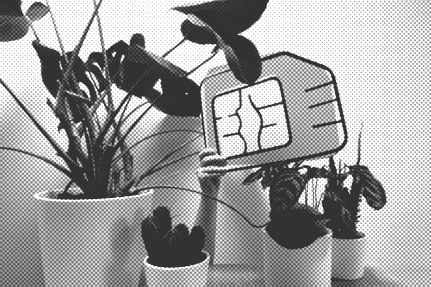 Mobilfunknetz, eine übergroße SIM-Karte wird von einer Hand zwischen einigen auf einem Tisch stehenden Zimmerpflanzen hochgehalten.