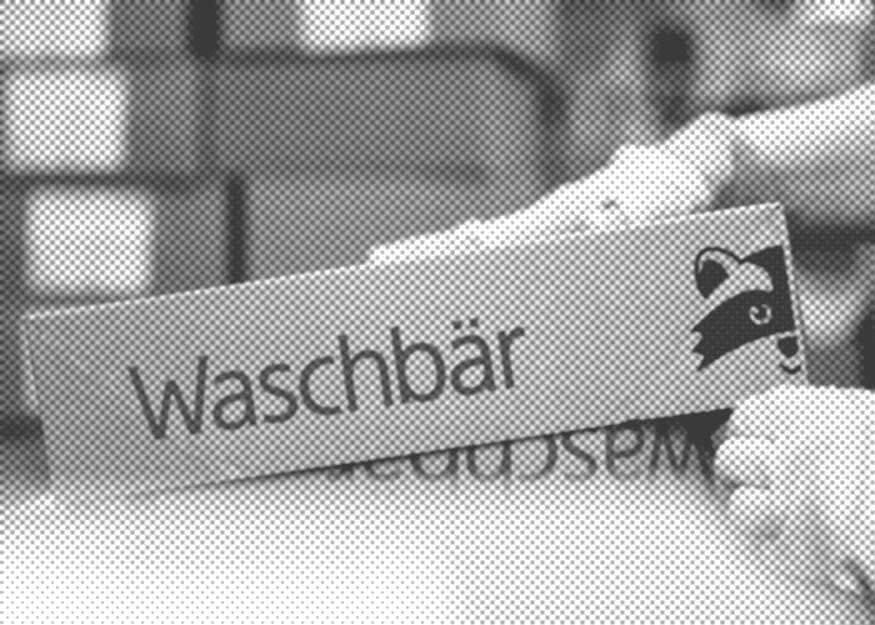 Hände halten eine Schachtel mit der Aufschrift „Waschbär“ und einer Waschbär-Grafik.