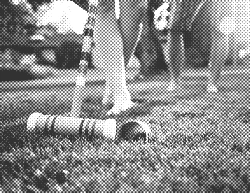 Eine Person stupst einen Ball mit einem Krocket-Schläger an.