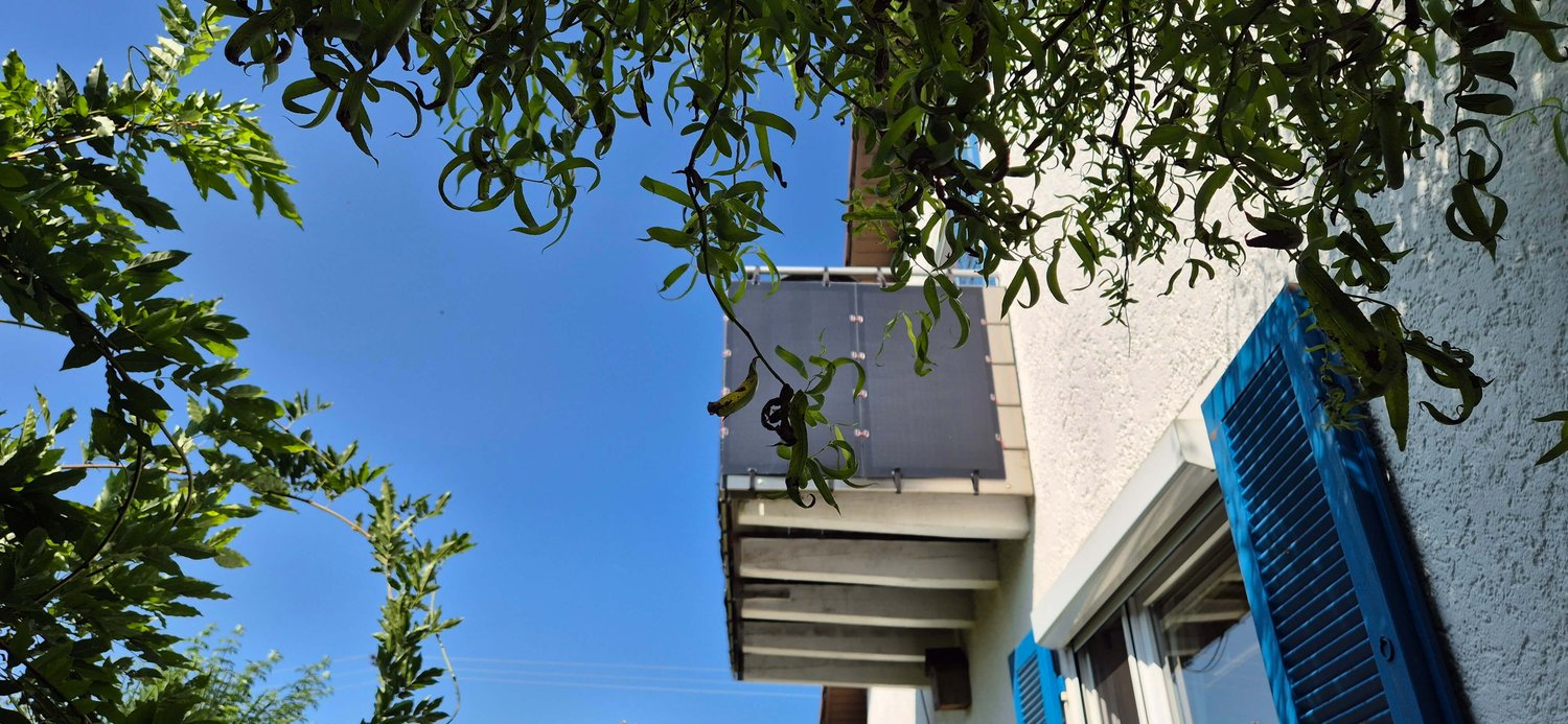 Blick von unten auf einen Balkon mit einer einzelnen Pflanze in einem Topf, umgeben von üppigem grünem Laub, vor einem klaren blauen Himmel. Am Fenster des Gebäudes sind blaue Fensterläden zu sehen.