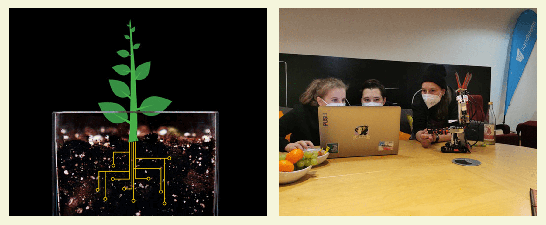 Eine digitale Illustration einer Pflanze mit Schaltkreiswurzeln; drei Personen mit Masken arbeiten in einer Büroumgebung an einem Laptop neben einem Roboter und einer Obstschale.