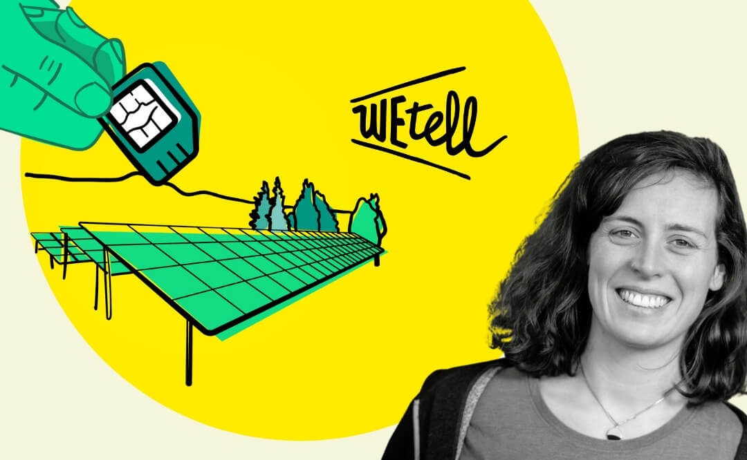 https://www.wetell.de/ueber-uns/news/gruen-machen-statt-gruen-waschen-das-wetell-klimakonzept/ - Grün machen statt grün waschen – Das WEtell Klimaschutzkonzept