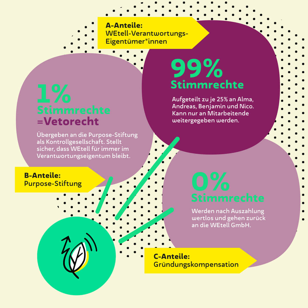 Verteilung der Stimmrechte im Purpose Unternehmen
